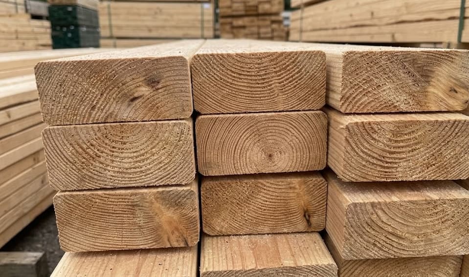 Close-up of lumber end grain showing beautiful annual growth rings